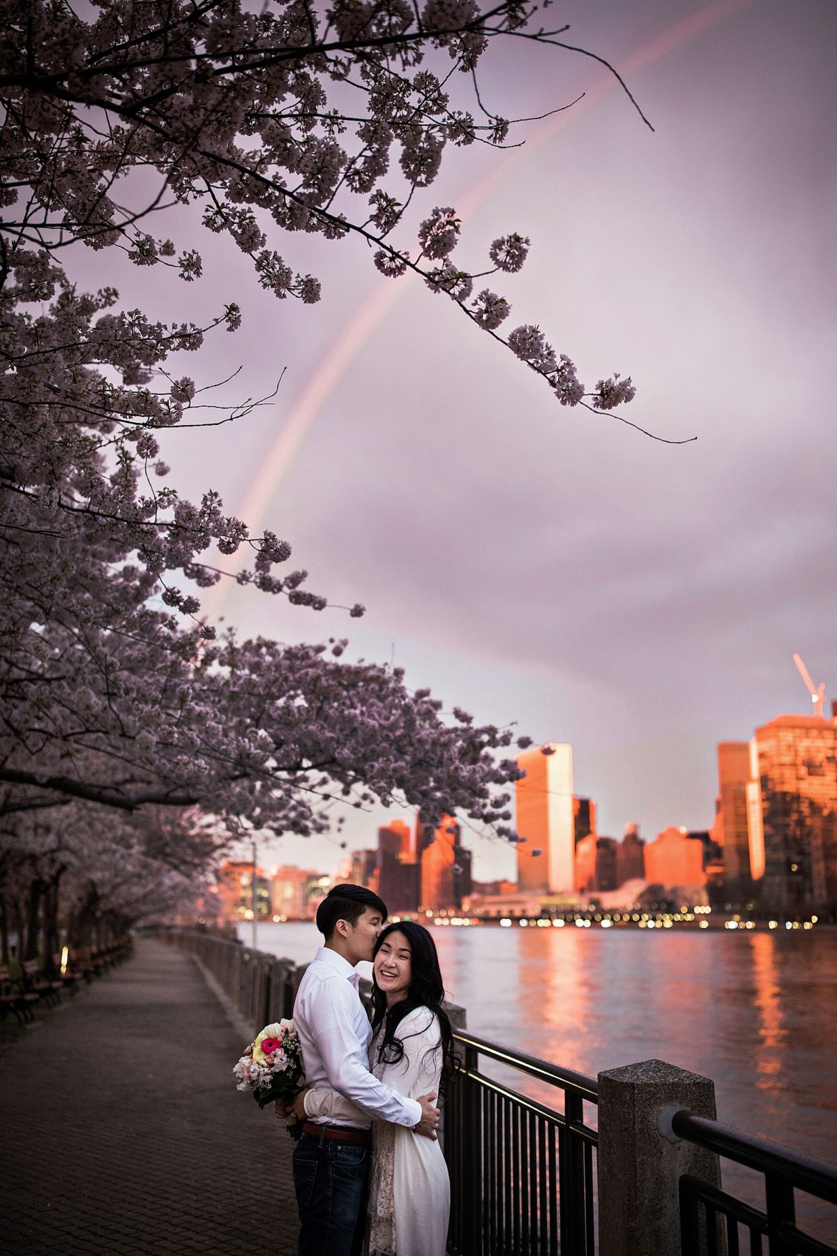 Cherry Blossoms on Roosevelt Island